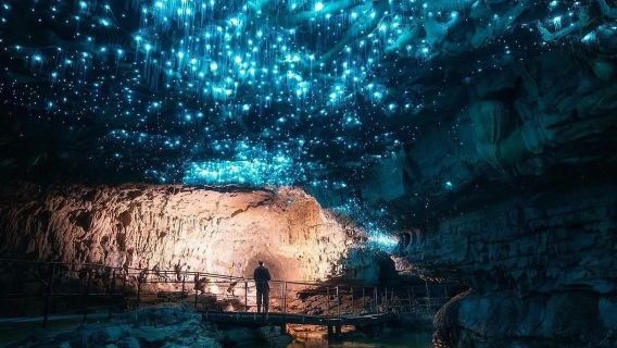 紐西蘭奧克蘭周邊比特村 + 懷託摩螢火蟲洞-包車-精選行程