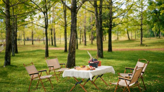 Tengchong Yinxing Village Day Tour [Afternoon Tea|Trip Moments