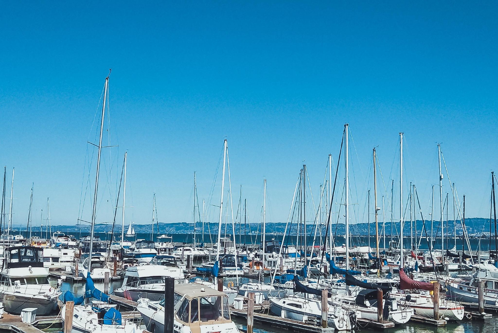 美國三藩市香桐酒莊+索諾瑪山谷+三藩市灣遊船