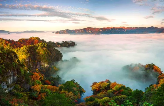 巴中來回：邂逅光霧米倉・一日漫遊