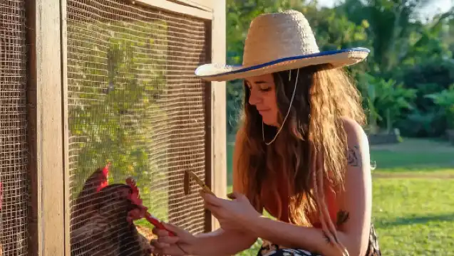 泰國清邁 奶奶家泰式料理烹飪課程【椰皮旅行】小班教學