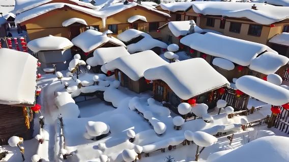 哈爾濱亞布力滑雪旅遊度假區中國雪鄉一日遊《暢銷優選》高鐵純玩小團|方便舒適