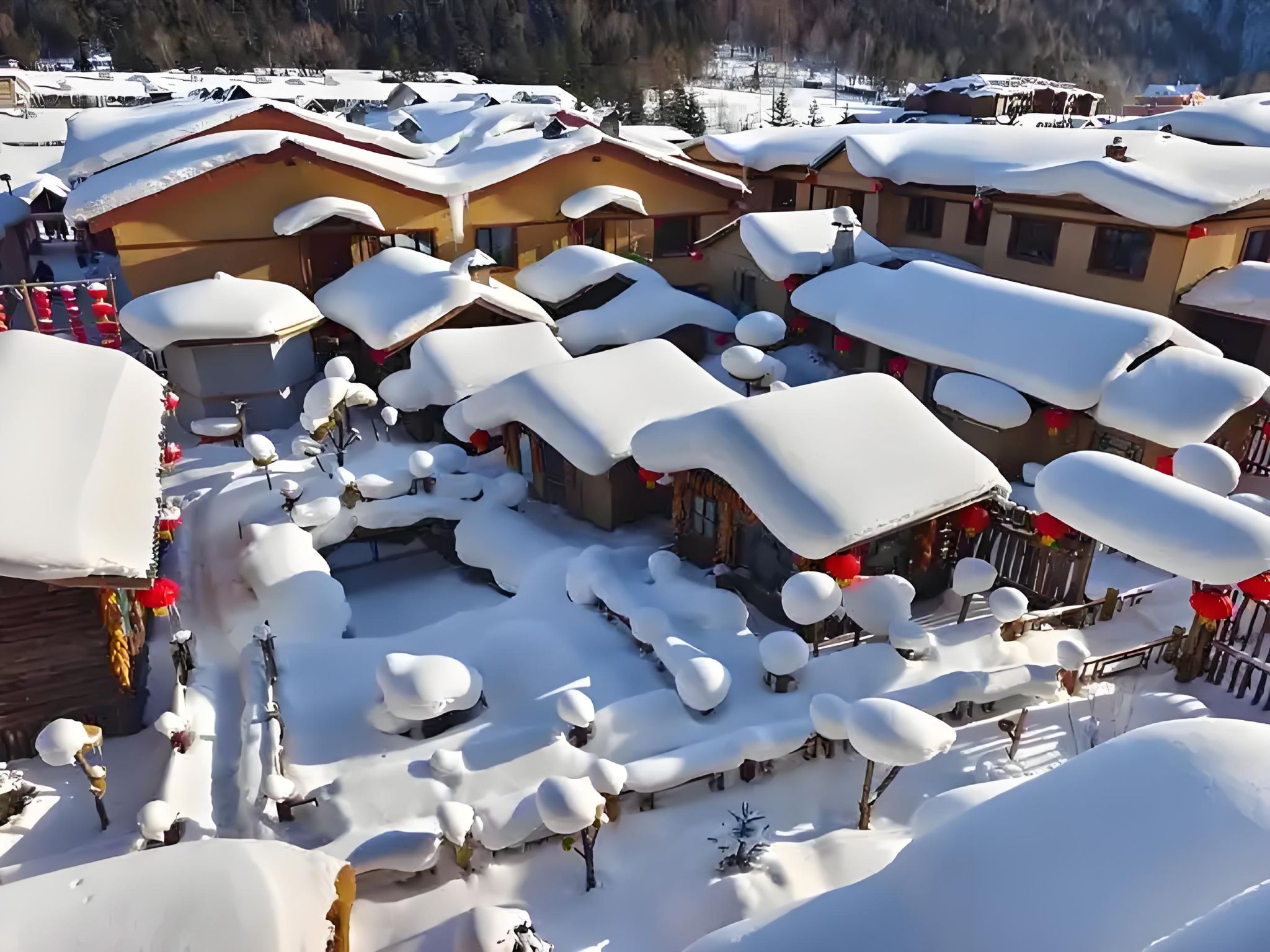 哈爾濱亞布力滑雪旅遊度假區中國雪鄉一日遊《暢銷優選》高鐵純玩小團|便捷舒適