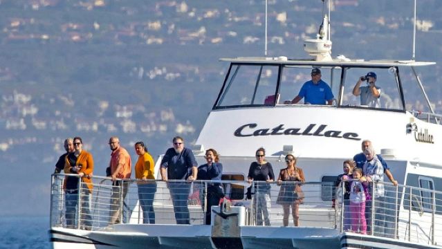 Los Angeles: Luxury Whale Watching Tour