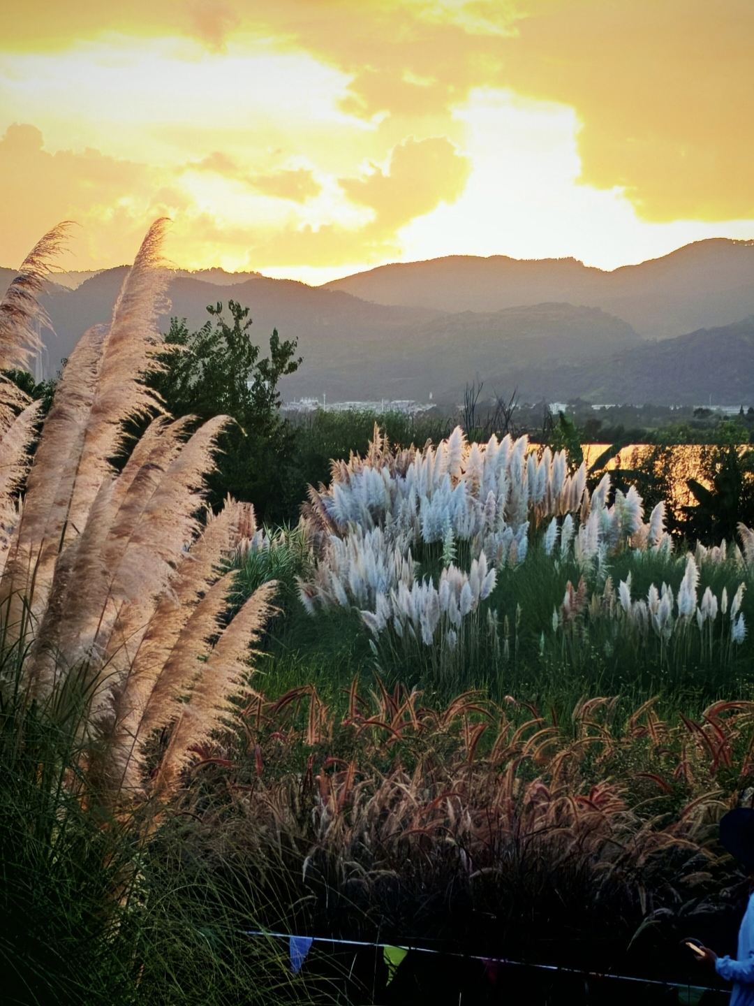 Spring City's Three Elephants: A Journey Through Hidden Realms