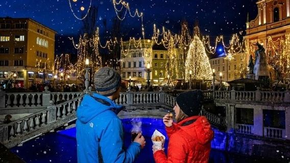 Da Zagabria: gita di un giorno a Lubiana e al mercatino di Natale del lago di Bled