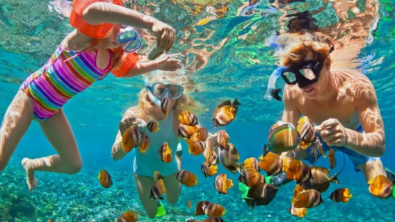 Nha Trang Half-Day Ultimate Coastal & Island Hopping Adventure (Shared / Private / Premium Service)