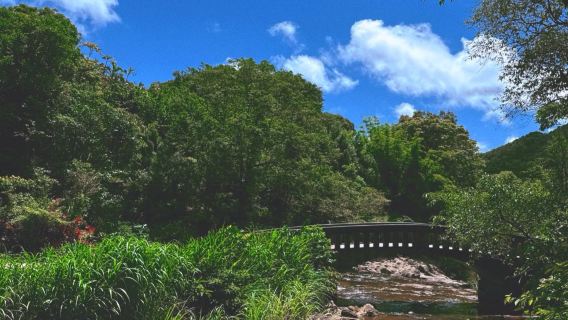 台灣台北十分瀑布|九份老街野柳地質公園親子一日遊|行程可調