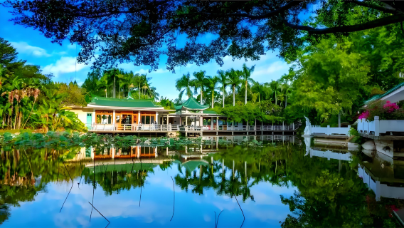 Xiamen Botanical Garden, Nanputuo Temple, and Xiamen University Group Day Tour: Explore the city's highlights in one day!