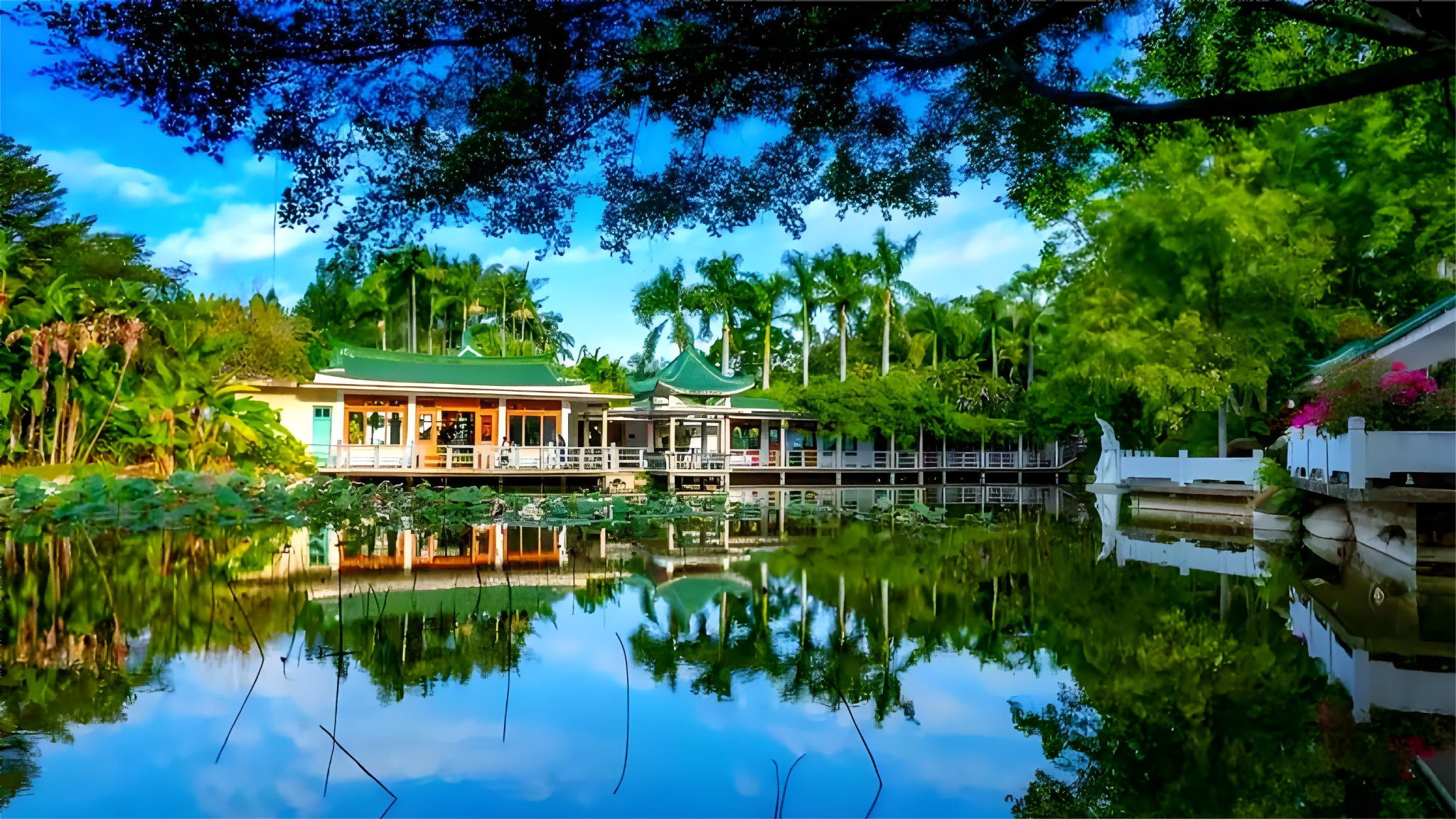 Gruppentagesausflug zum Botanischen Garten Xiamen, zum Nanputuo-Tempel und zur Universität Xiamen: Entdecken Sie die Highlights der Stadt an einem Tag!