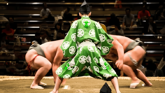 Japan Yokohama: Sumo Tour Experience with Chinese/English Commentary | Departing from Tokyo