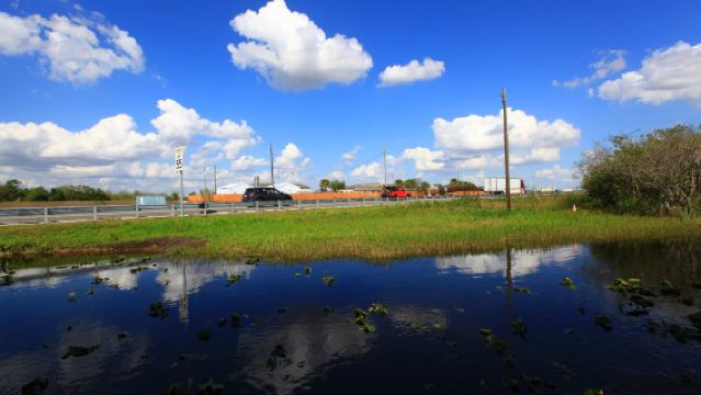 美國邁阿密-大沼澤地國家公園一日遊【中文包車自由行】