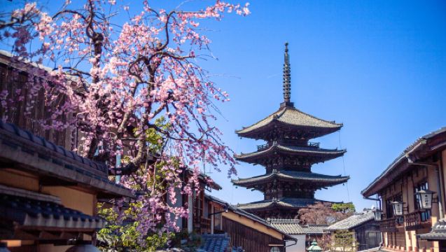 名古屋発 黒毛和牛ランチオプション付き 伏見稲荷大社＋嵐山＋清水寺＋三年坂