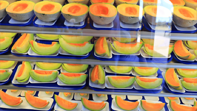 Van Sapporo: Hokkaido Biei Furano Bloemenzee Dagtocht