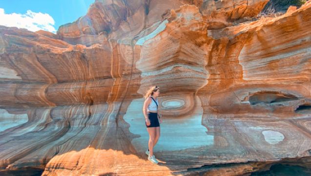 塔斯馬尼亞瑪麗亞島一日遊【尋袋鼠中文團丨荷巴特市區飯店接駁】