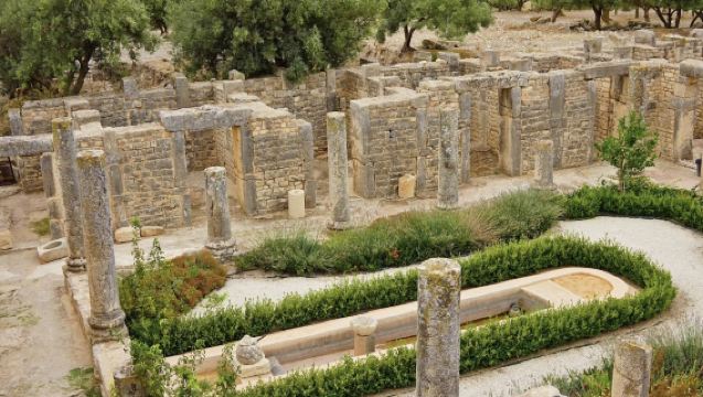 Pemandu pelancongan dalam Tunisia | Penterjemah profesional | Pameran | Perjalanan perniagaan | Lawatan | Temani | Kunjungan