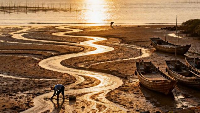 【福建霞浦】沙江S灣+半月裡+東安島+滸嶼澳村+紅樹林一日遊