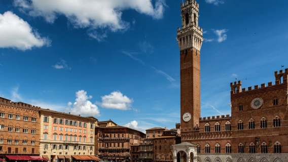 1-day tour to Tuscany, Pisa, San Gimignano and Siena in Italy (including lunch)