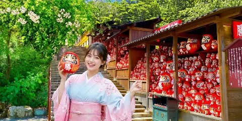 【大阪&京都名勝景點一日游】勝尾寺祈願&金閣寺巡禮&嵐山渡月橋&和服森林&竹林小徑&野宮神社(大阪或京都出發)