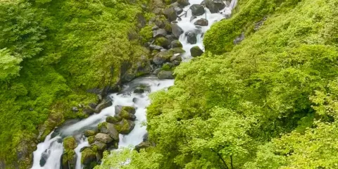 日本仙台+秋保大瀑布+磊磊峽+松島町包車一日遊