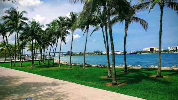Amerika Miami - Pantai Selatan - Miami Beach - Tembok Wynwood - Perjalanan Eksklusif Bahasa Cina