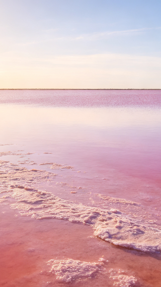 Australia: Perth north route join-in tour - Pink lake/white sand dunes/lobster factory/The Pinnacles Desert and more