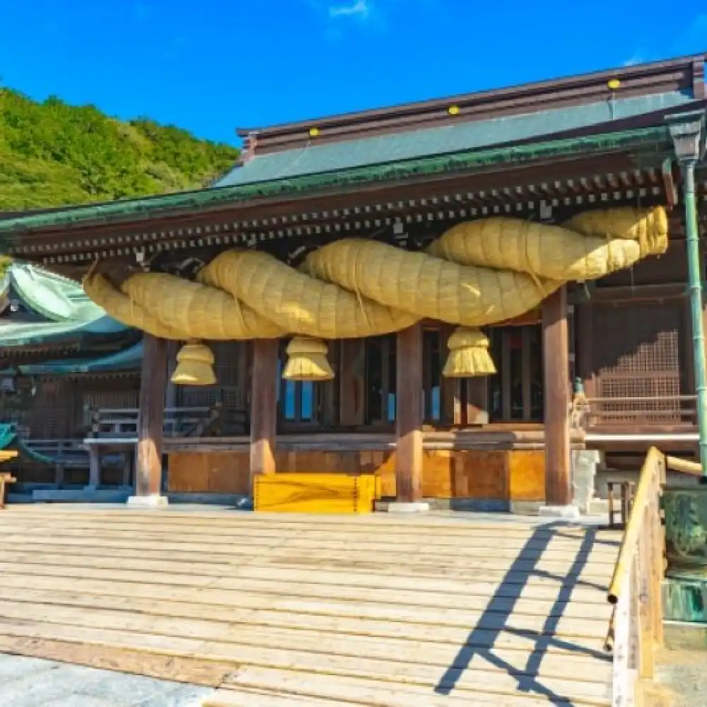 YokaBus Nanzoin Bronze Buddha and Itoshima Totoro Forest & Sakurai