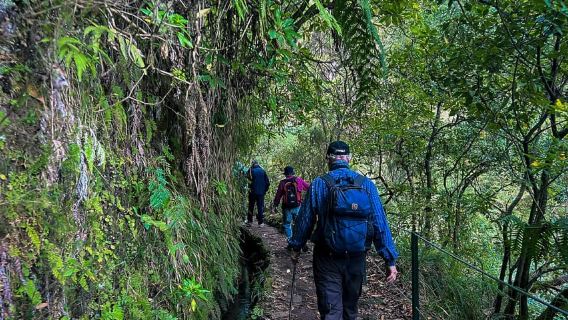 Madeira Island: Caldeirão Verde Levada Walk