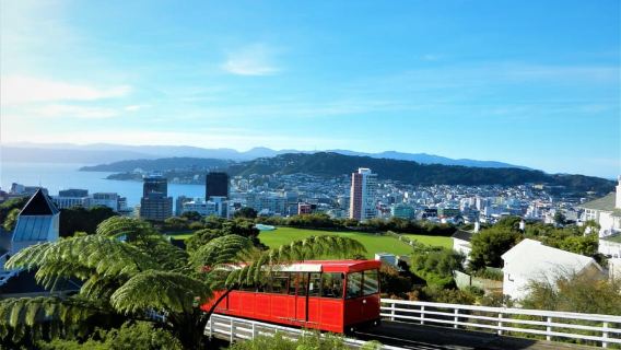 Wellington: Return Cable Car Ticket