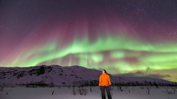 Tromsø: Northern Lights tour with Pro-Photographer