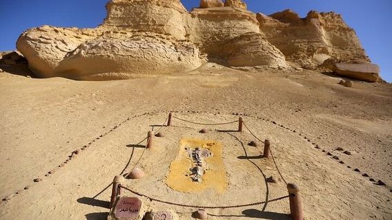 Al FayyumTours
