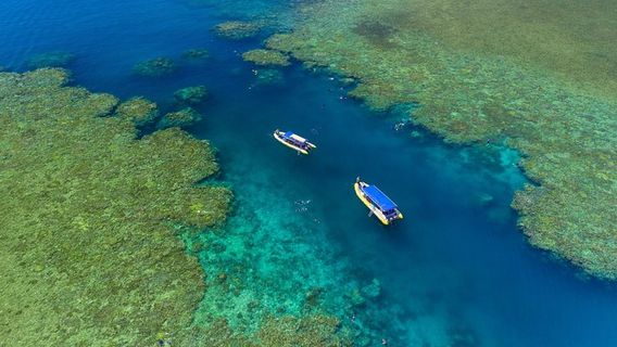 Airlie BeachTours