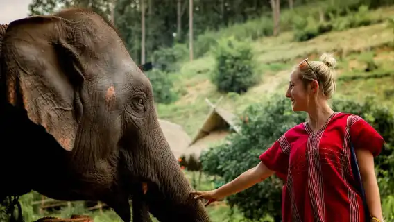 泰國清邁Kerchor​ elephant​ eco​ park​一日遊【/中文導遊/含飯店接駁】