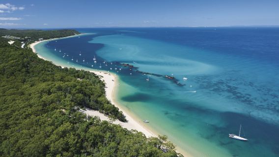 Дневной круиз в Тангалума с кормлением дельфинов и сноркелингом у затонувших кораблей