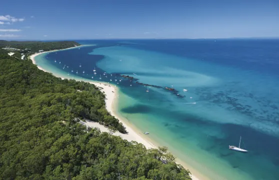 塘鵠餵海豚日間郵輪之旅及沉船浮潛體驗