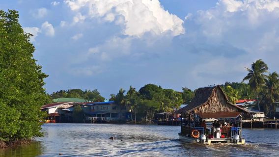 沙巴海龜苑紅樹林一日遊|市區遊+螢火蟲+超美日落+沙巴大學