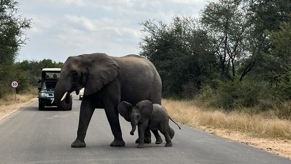 Johannesburg