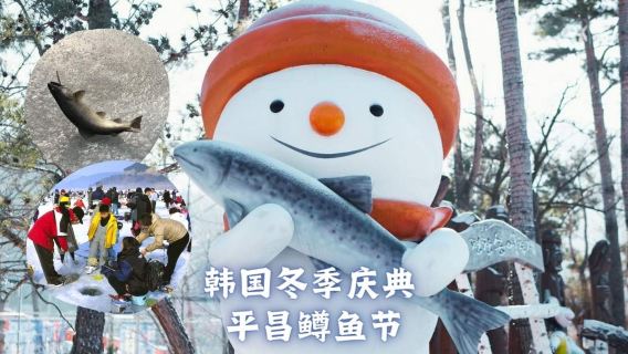 Pyeongchang Trout Festival Tent Ice Fishing Experience (Fishing Gear and Chair Included) / Transportation Only Package