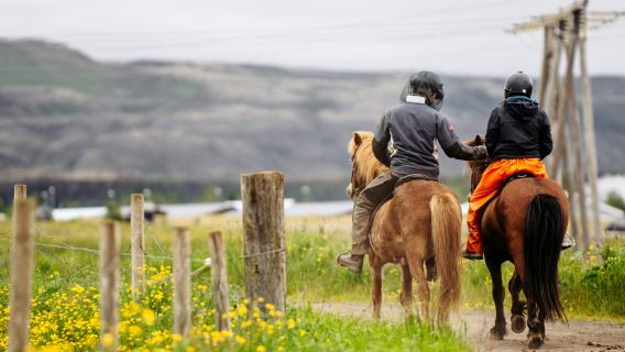 Island: Reiten – Tour durch die Landschaft