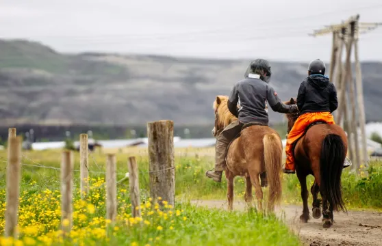 冰島：騎馬鄉村之旅