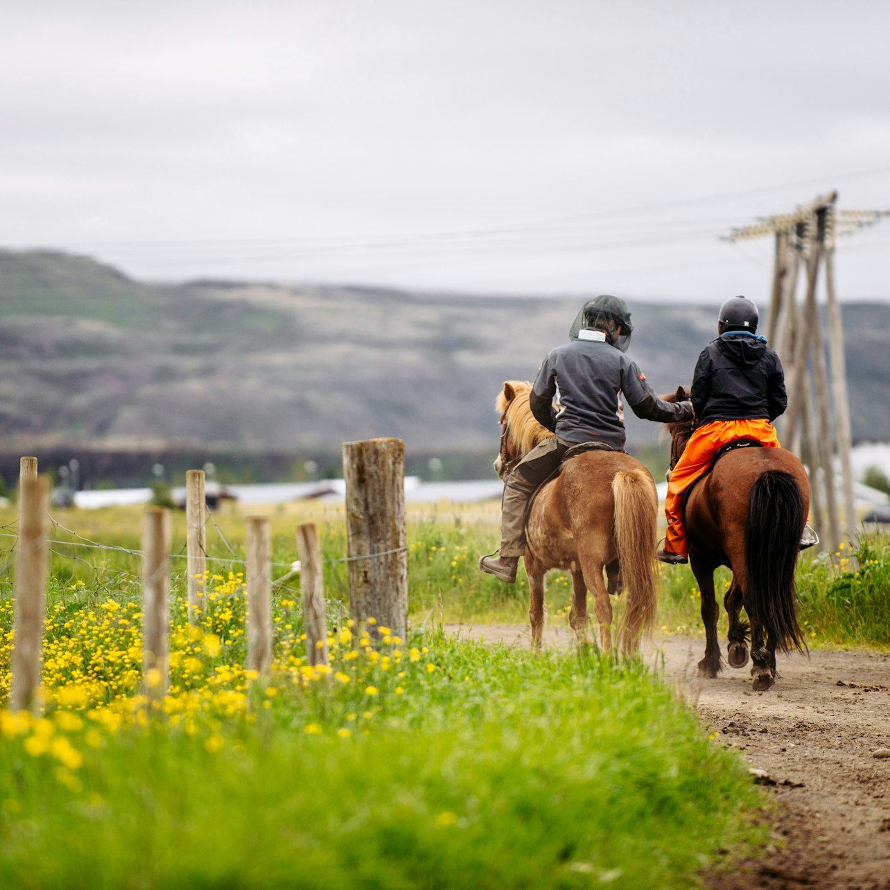 Iceland: Horseback Riding - Countryside Tour