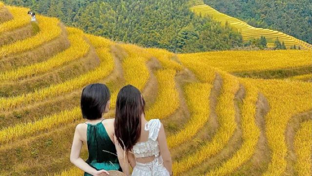 桂林龍脊梯田+金坑梯田+黃洛瑤寨一日遊：純玩0購物+商務車
