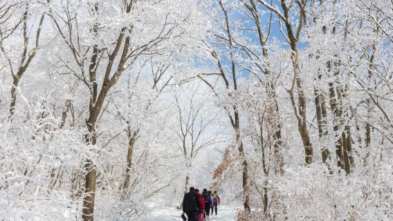 韓國江原道雪山國立公園+南怡島一日遊【首爾出發 • 中英文導遊】
