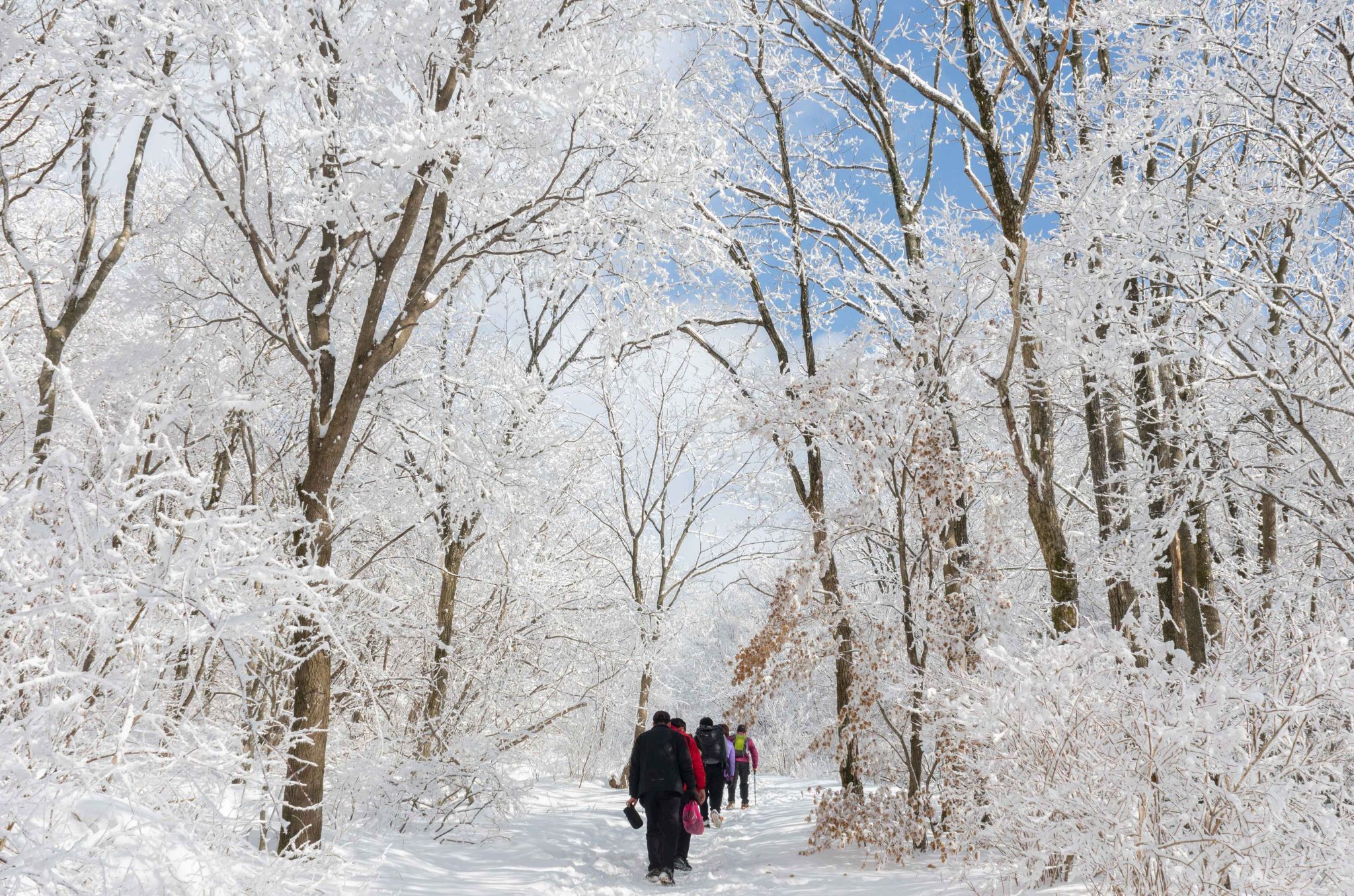 Mt. Seoraksan National Park + Nami Island One Day Tour [Depart From Seoul • Natural Breathtaking View]