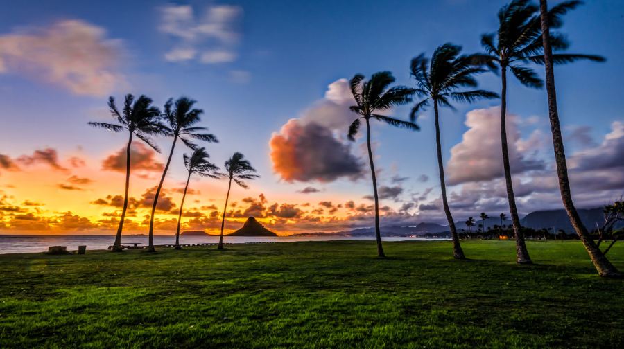 Go City 美國檀香山胡島暢遊通票-Go City Oahu All-Inclusive Pass: