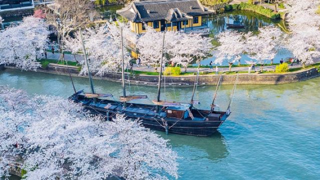 魅力無錫-黿頭渚-禪意小镇·拈花灣包車一日遊 VIP小團EA