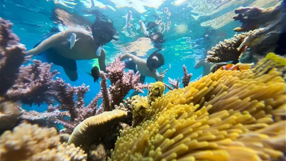 Nha Trang Half-Day Snorkeling Adventure with BBQ Onboard