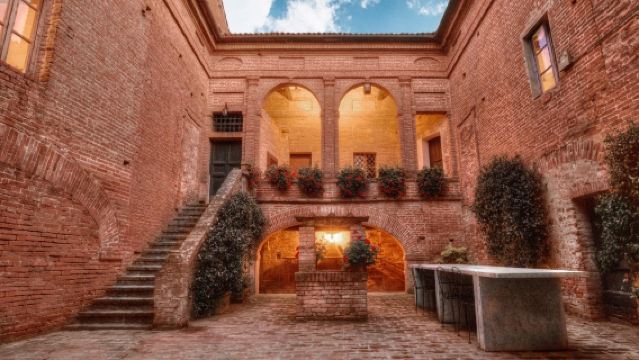 Montalcino: Vineyard Tour + Wine Tasting