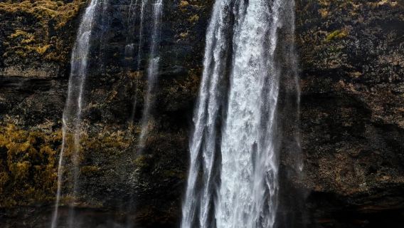 冰島雷克雅維克-經典小眾維克鎮+可週邊多日包車【精選老司機】