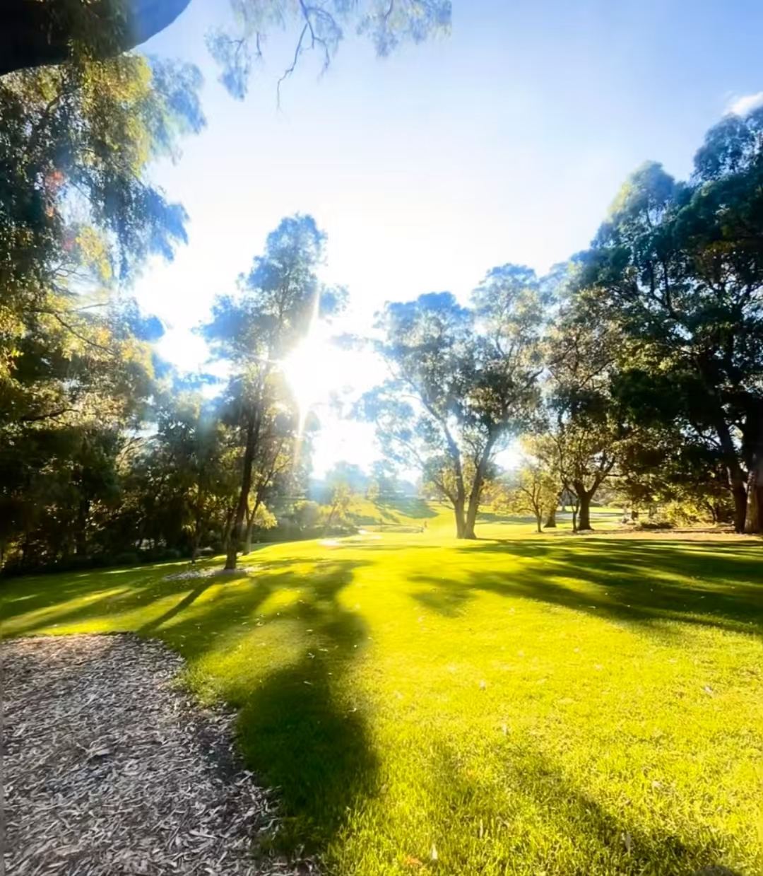 珀斯國王公園+圓屋+鑄幣廠+弗里曼特爾監包車日遊[中文司機]